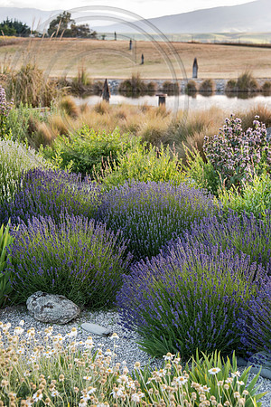 joe wakelins garden new zealand