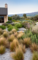 joe wakelins garden new zealand