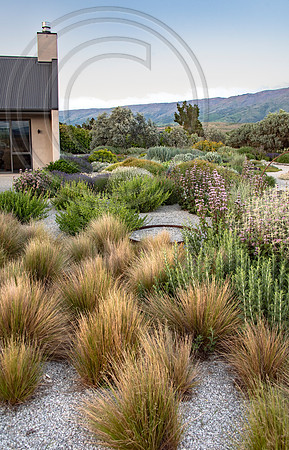 joe wakelins garden new zealand