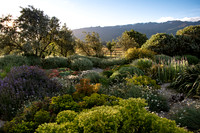 joe wakelins garden new zealand