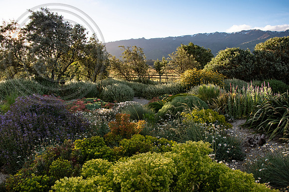 joe wakelins garden new zealand