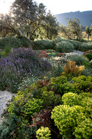 joe wakelins garden new zealand