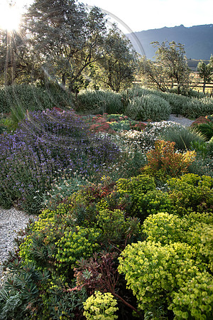 joe wakelins garden new zealand