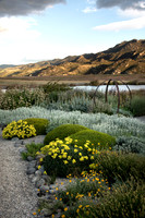 joe wakelins garden new zealand