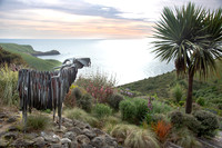 fishermans bay