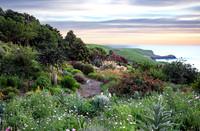 fishermans bay