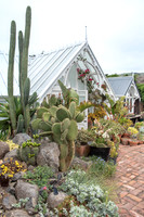 cactus garden south island nz