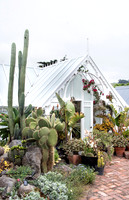 cactus garden south island nz