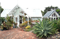 cactus garden south island nz