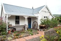 cactus garden south island nz