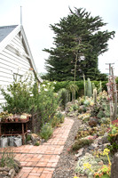 cactus garden south island nz