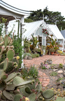cactus garden south island nz