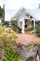 cactus garden south island nz