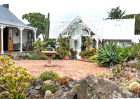 cactus garden south island nz
