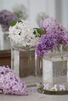 LILAC FLOWERS AND FOOD
