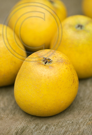 56346 MALUS PITSMAN PINEAPPLE