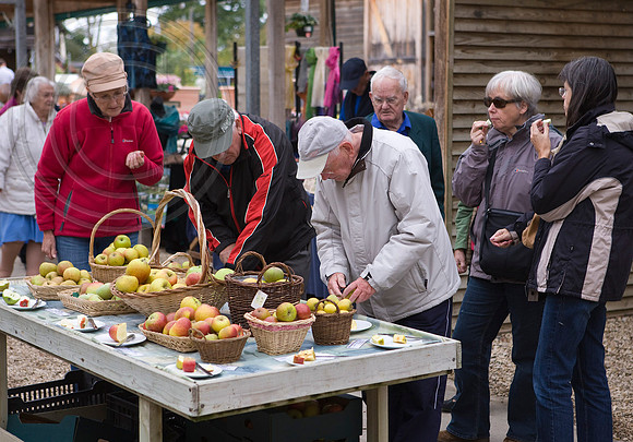 56394 APPLE FAIR
