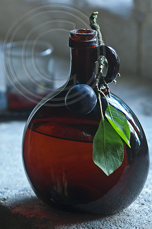 DAMSONS;PHOTGRAPHY MICHELLE GARRETT