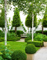 THE GLASSHOUSE;PHOTOGRAPHS CLIVE NICHOLS