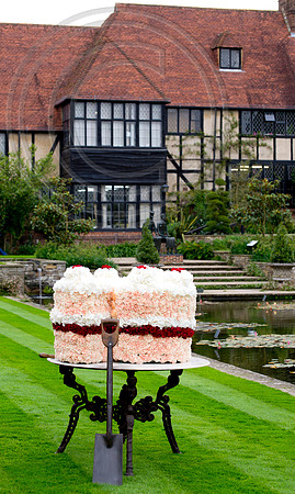 FLOAL CAKE- WISLEY