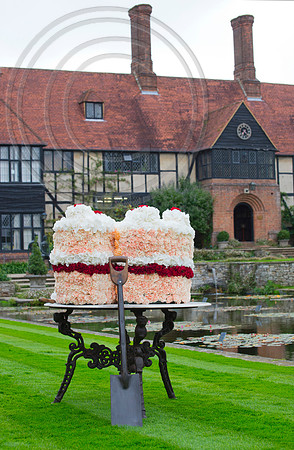 FLORAL CAKE WISLEY