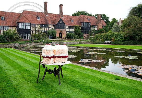 FLORAL CAKE  WISLEY