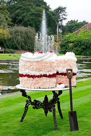FLORA CAKE WITH 'WATER FOUNTAIN CANDLES'