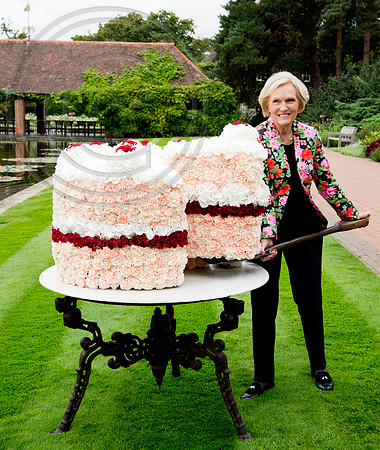 MARY BERRY TAKES A SLICE OF CAKE