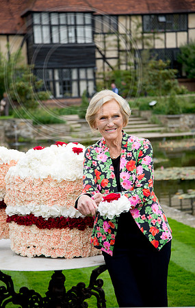MARY BERRY ROSE AND HYDRANGEA TOPPING