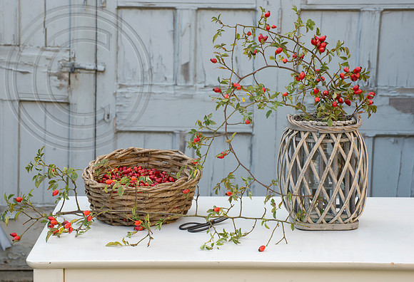ROSEHIP BASKET ARRANGEMENT AND WREATH