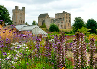 HELMSLEY WALLED GARDEN, YORKSHIRE
