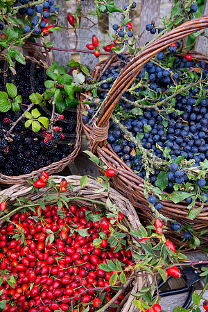 BASKETS OF HEDGEROW BERRIES