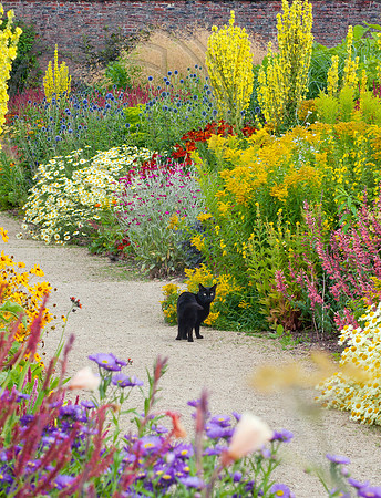 HELEMSLEY WALLED GARDEN, YORKSHIRE
