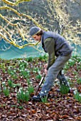 : HEAD GARDENER CHRIS HORSFALL
