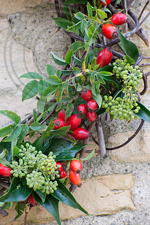 ROSEHIP WREATH