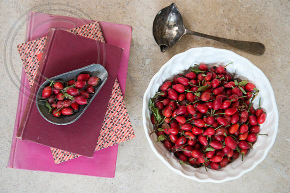 PREPPING ROSEHIPS