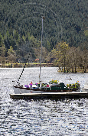 BOAT BULB GARDEN