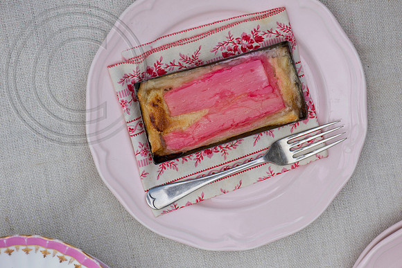 Rhubarb Food; Individual rhubarb and custard tart.