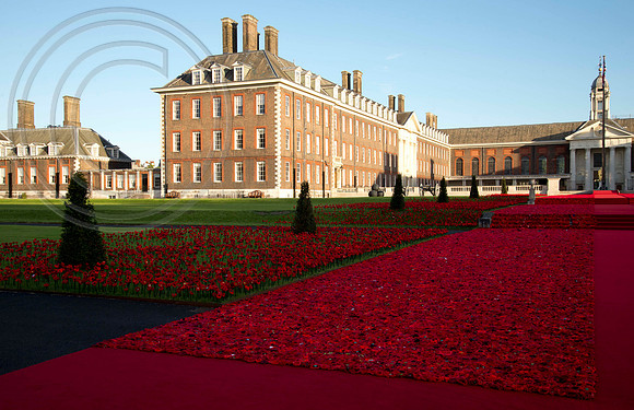 5000 Poppies Project, Chelsea Flower Show 2016