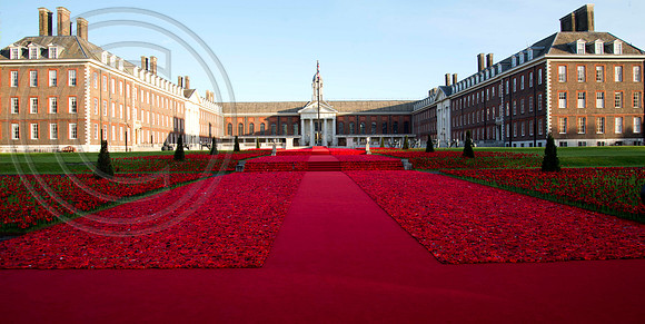 5000 Poppies Project, Chelsea Flower Show 2016