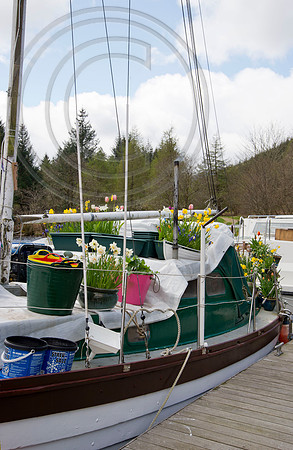 BOAT BULB GARDEN