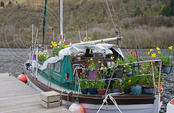 BOAT BULB GARDEN