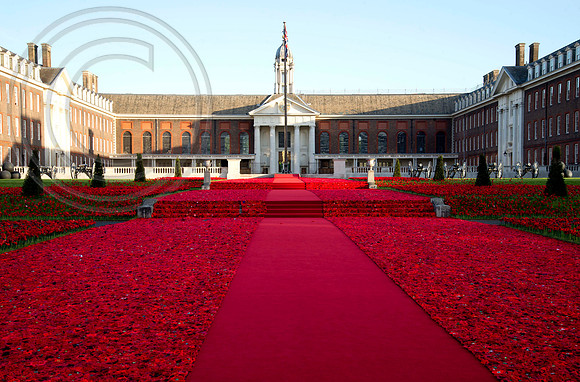 5000 Poppies Project, Chelsea Flower Show 2016