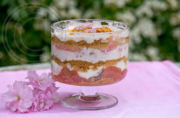 Rhubarb Food;Rhubarb cream crunch