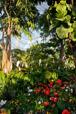 The Butterfly Dome, Hampton Court Flower Show 2016