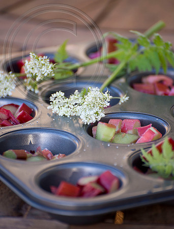 Rhubarb tasting trials