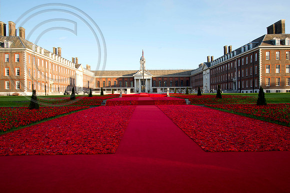 5000 Poppies Project, Chelsea Flower Show 2016