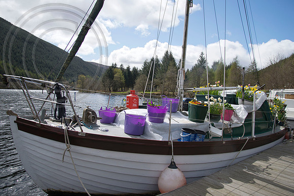 BOAT BULB GARDEN
