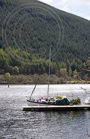 BOAT BULB GARDEN