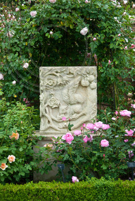 ROSA SKYLARK